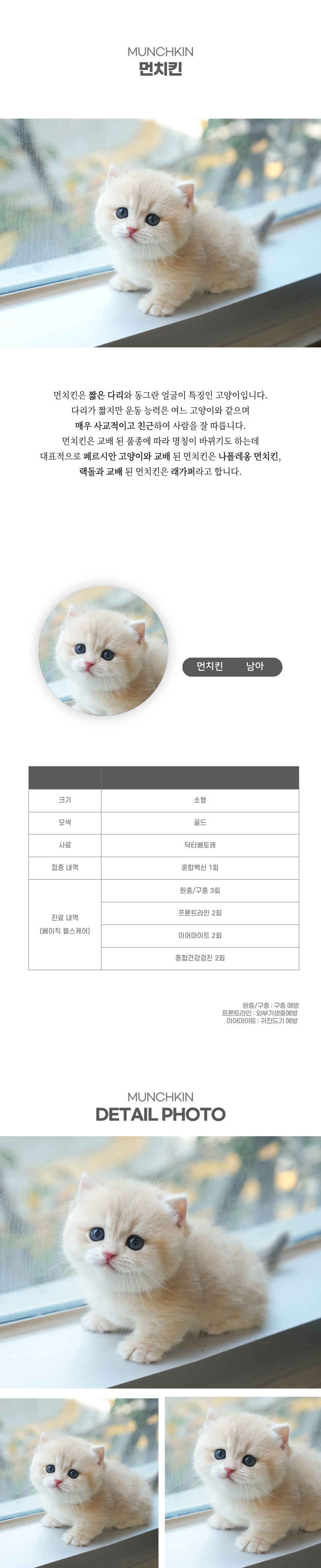 먼치킨_상세이미지_2